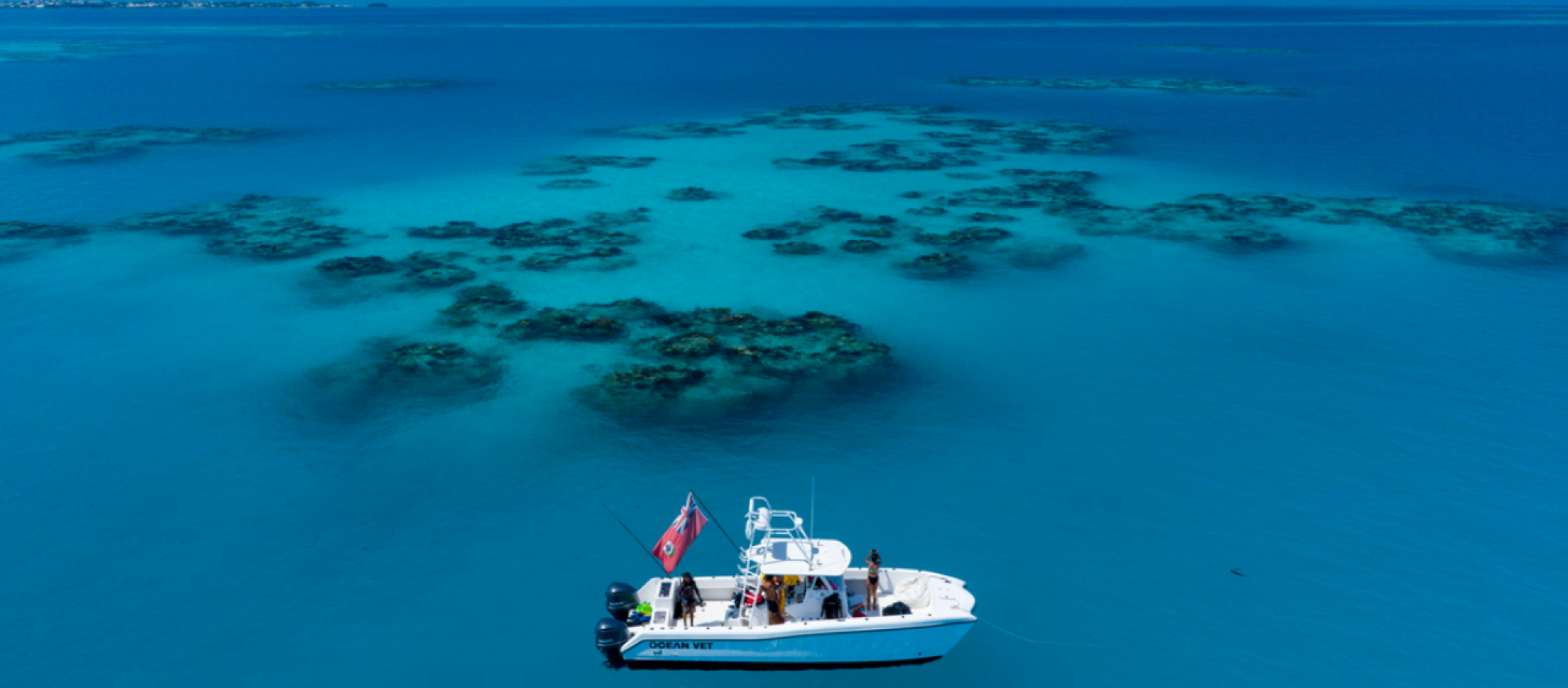Paradising: Todo lo que necesitas saber acerca las Bermudas